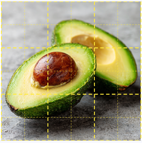 Grid overlay on reference