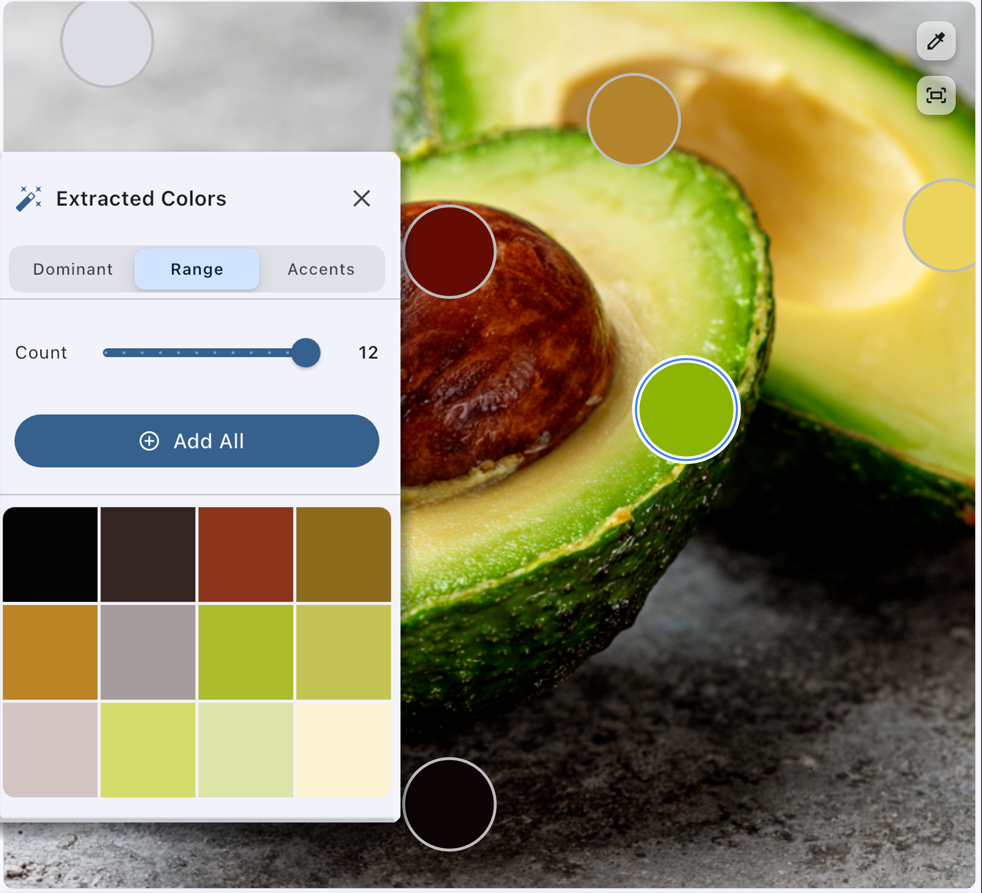Auto-extract colors